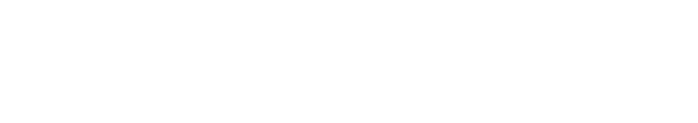 Dynamic Custom Pools logo