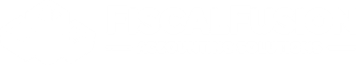 FiscalFusion logo